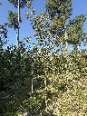IMG_1894.webp