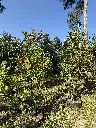 IMG_1900.webp